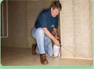 Windsor pest control